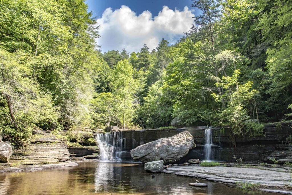 Savage Gulf State Park Tennessee Stone Door sandstone gorge trail