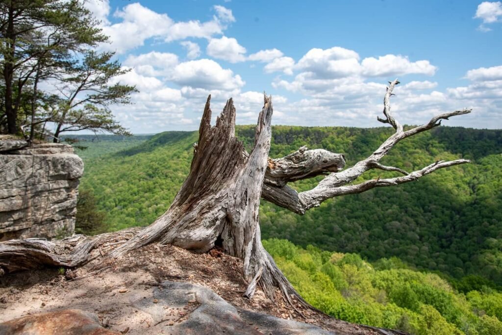 south cumberland state park overlook mountain beautiful