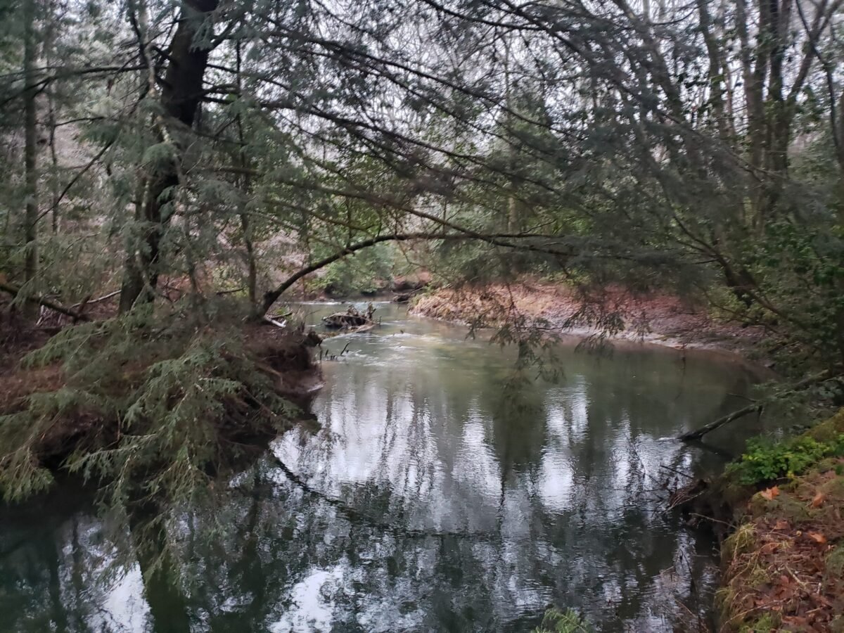 The Getaway on Ranger Creek