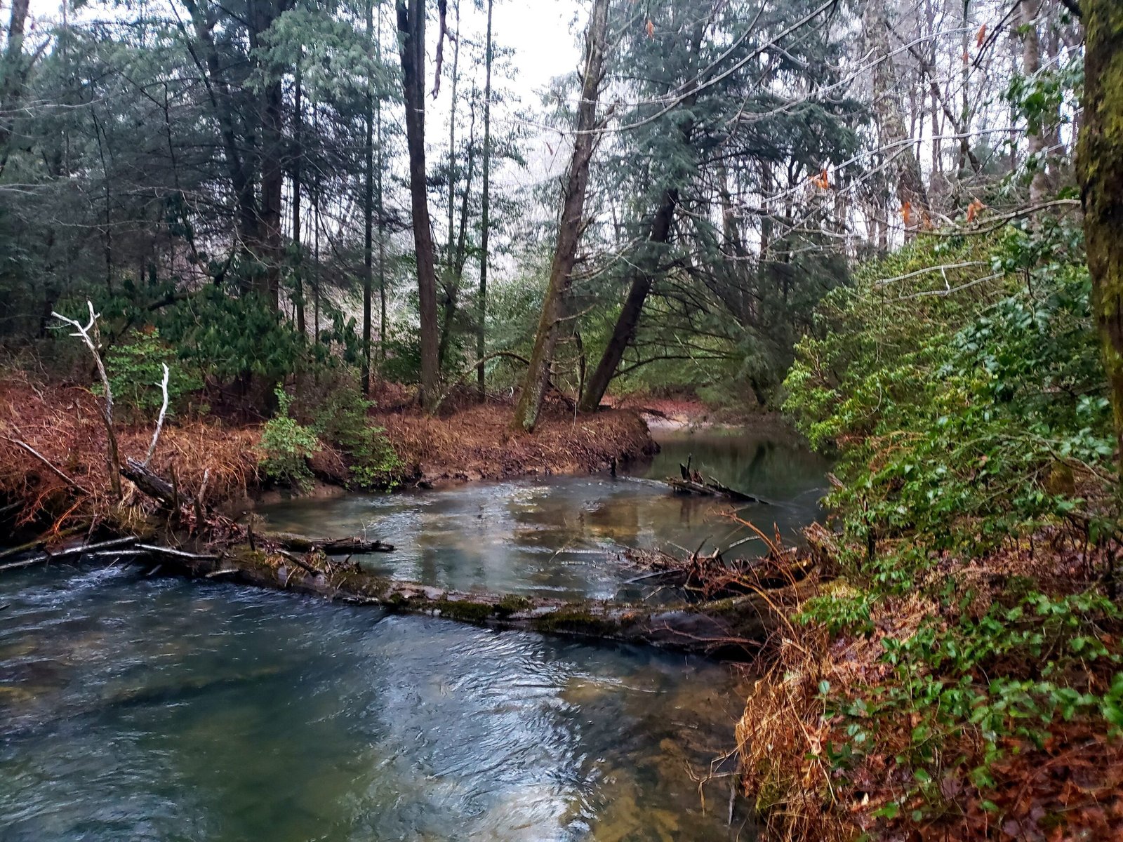 The Getaway on Ranger Creek