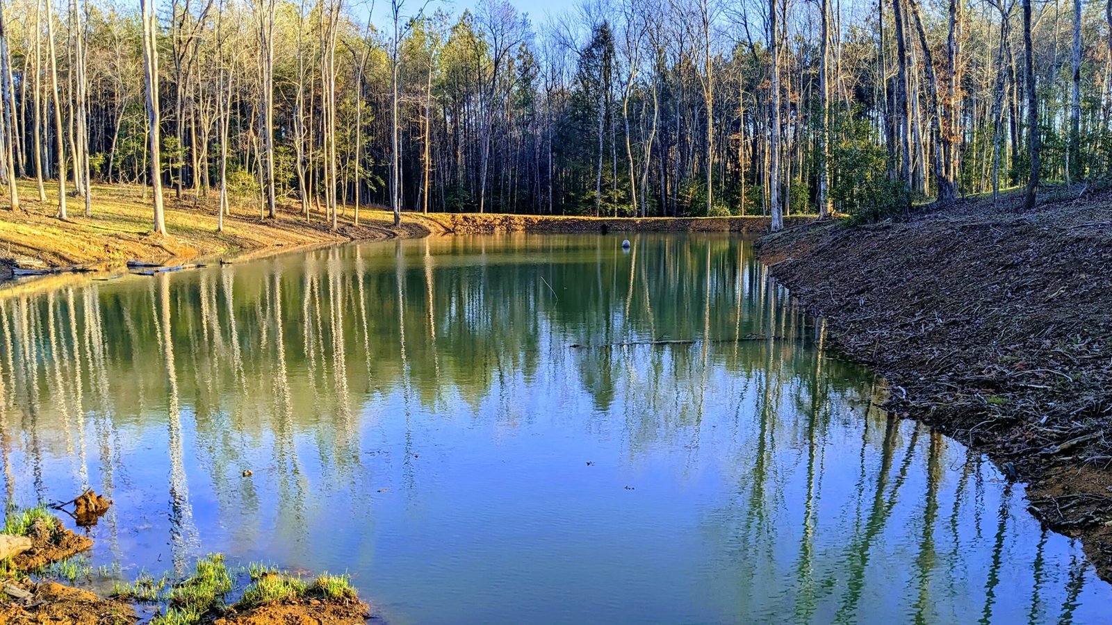 The Getaway on Ranger Creek