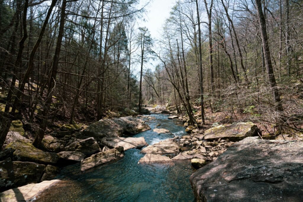 Savage Gulf waterfalls flowing through Big Creek Gulf canyon Tennessee
