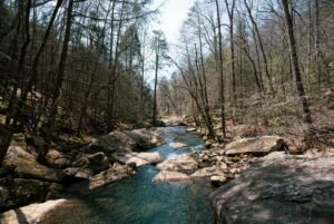 Savage Gulf waterfalls flowing through Big Creek Gulf canyon Tennessee