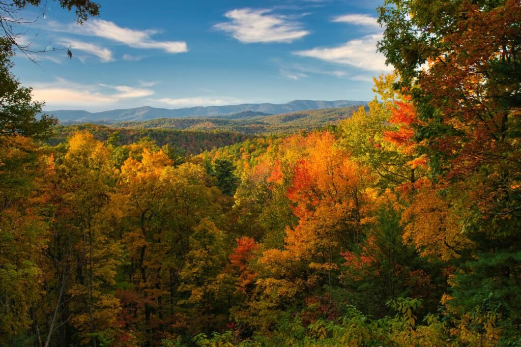 Tennessee fall foliage peak colors on the Cumberland Plateau