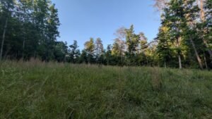Open meadow at a small wedding venue in Coalmont, Tennessee, on the Cumberland Plateau