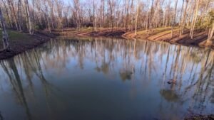 Pond ringed by bare winter hardwoods at The Getaway on Ranger Creek in Coalmont, Tennessee